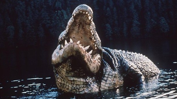 Crawl: Režisér Piraně se pustí do boje s aligátory | Fandíme filmu