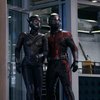 Ant-Man: Quantumania – Bill Murray potvrdil účast v příští marvelovce | Fandíme filmu