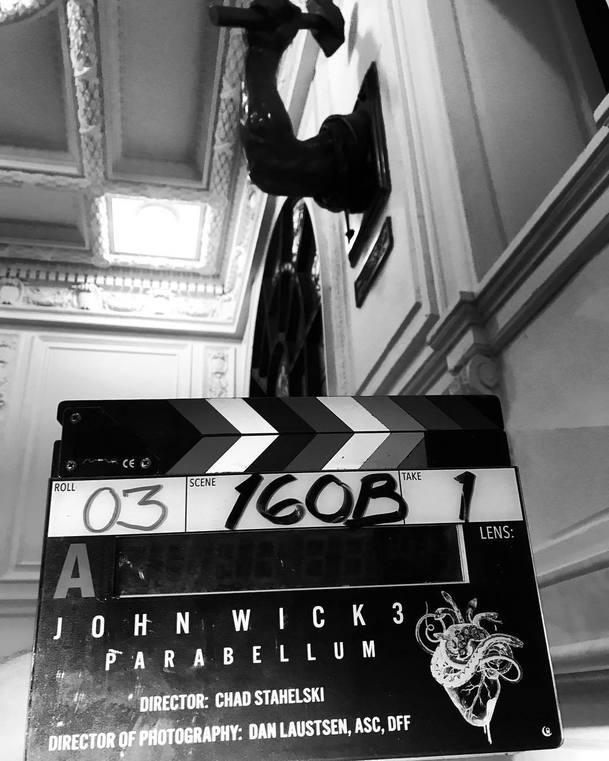 John Wick 3:  Ve filmu si opravdu zahraje Halle Berry | Fandíme filmu