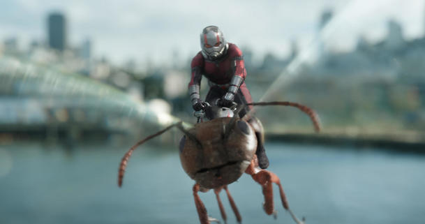 Ant-Man 3: Kdy bychom se marvelovského pokračování měli dočkat | Fandíme filmu