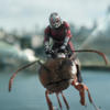 Ant-Man 3: Kdy bychom se marvelovského pokračování měli dočkat | Fandíme filmu