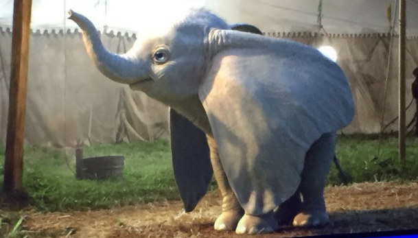Dumbo: Tim Burton přivede k životu animovaného slona | Fandíme filmu