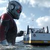 Ant-Man a Wasp: První zámořské ohlasy | Fandíme filmu