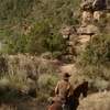 The Sisters Brothers: Pistolníci Joaquin Phoenix a John C. Reilly v první traileru | Fandíme filmu