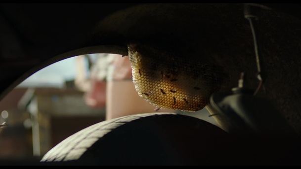 Bumblebee: Ve filmu uvidíme jen hrstku Deceptikonů | Fandíme filmu
