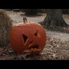Halloween: Trailer velkého hororového návratu je tu | Fandíme filmu