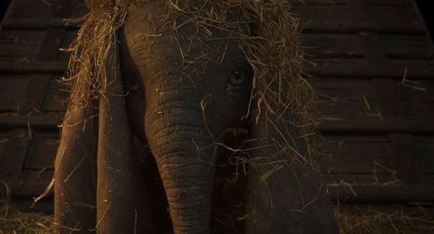 Dumbo: Teaser trailer s létajícím slonem sází na něžnost | Fandíme filmu