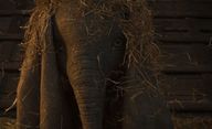 Dumbo: Teaser trailer s létajícím slonem sází na něžnost | Fandíme filmu