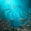 Aquaman jako zachránce DC, aneb velké preview filmu | Fandíme filmu