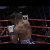 Creed 2: Slibovaný trailer konečně dorazil! | Fandíme filmu