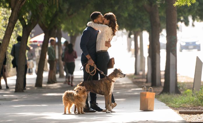 Dog Days: Vanessa Hudgens a Nina Dobrev v romantické týmovce | Fandíme filmu