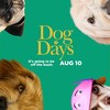 Dog Days: Vanessa Hudgens a Nina Dobrev v romantické týmovce | Fandíme filmu