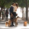 Dog Days: Vanessa Hudgens a Nina Dobrev v romantické týmovce | Fandíme filmu