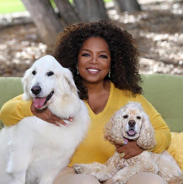 Příběh služebnice: 11. díl představil cameo Oprah Winfrey | Fandíme serialům