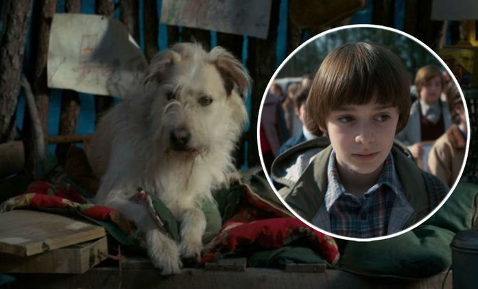 Stranger Things 3: Představitel Willa omylem odhalil osud psa Chestera! | Fandíme seriálům