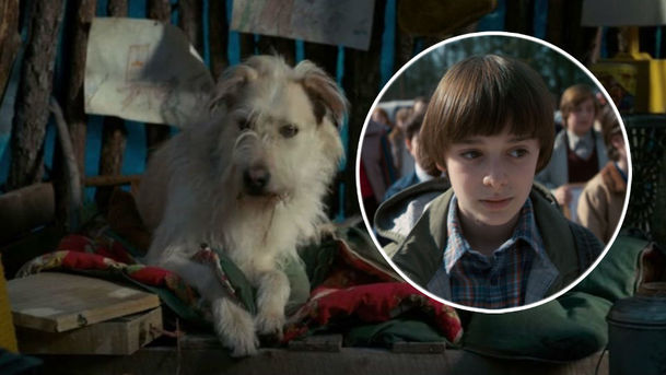 Stranger Things 3: Představitel Willa omylem odhalil osud psa Chestera! | Fandíme serialům