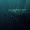 Meg 2: Pokračování filmu s obřím žralokem nabralo obsazení | Fandíme filmu