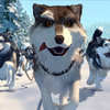 White Fang: Animák o dospívání a domestikaci známého vlka | Fandíme filmu