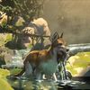 White Fang: Animák o dospívání a domestikaci známého vlka | Fandíme filmu