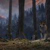 White Fang: Animák o dospívání a domestikaci známého vlka | Fandíme filmu