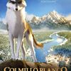 White Fang: Animák o dospívání a domestikaci známého vlka | Fandíme filmu