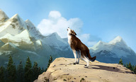 White Fang: Animák o dospívání a domestikaci známého vlka | Fandíme filmu