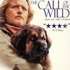 Call of the Wild: Podívá se Harrison Ford do promrzlé Kanady? | Fandíme filmu