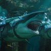 Aquaman: Žádní další hrdinové ve filmu na 100% nebudou | Fandíme filmu