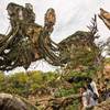 Avatar: Pokračování se budou odehrávat kompletně na Pandoře | Fandíme filmu