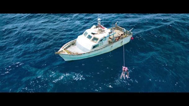 47 metrů: Další kapitola zápolení se žraloky v prvním teaseru | Fandíme filmu