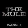 The Mule: Clint Eastwood je ještě jednou za drsňáka v prvním traileru | Fandíme filmu