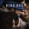 Bird Box: Sandra Bullock v mrazivém traileru | Fandíme filmu