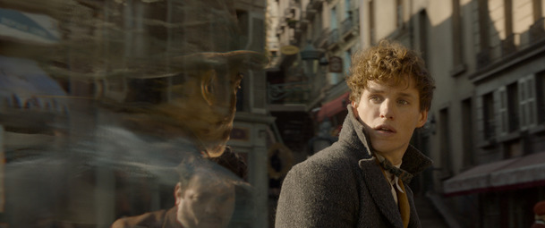 Fantastická zvířata 2 nabídnou další postavu z Harryho Pottera | Fandíme filmu