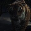 Mowgli: Legend of the Jungle: Nový trailer odhalil datum premiéry | Fandíme filmu