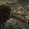 Mowgli: Legend of the Jungle: Nový trailer odhalil datum premiéry | Fandíme filmu