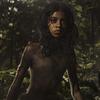 Mowgli: Legend of the Jungle: Nový trailer odhalil datum premiéry | Fandíme filmu