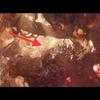 Avengers 4: Podle režiséra možná dostaneme nejdelší marvelovku | Fandíme filmu