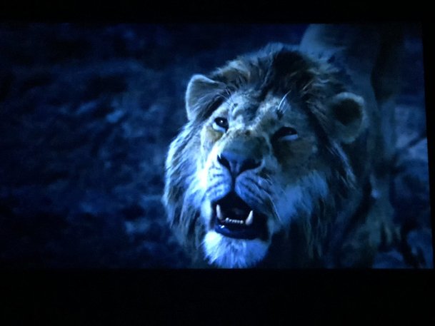 Lví král: První teaser trailer na "hranou" verzi klasického animáku | Fandíme filmu