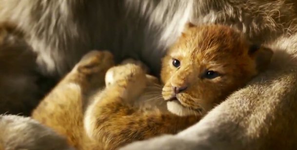 Lví král má 2. nesledovanější trailer + srovnání s animákem | Fandíme filmu