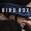 Bird Box: Netflix po naléhání diváků vystřihl z filmu kontroverzní pasáž | Fandíme filmu