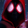 Spider-Man: Paralelní světy 2: Našla se představitelka Spider-Woman | Fandíme filmu