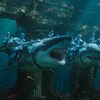 Box Office: Aquaman drží DC nad vodou | Fandíme filmu