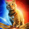 Captain Marvel a 10 character posterů od Carol až po kocoura | Fandíme filmu