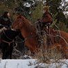 Robert The Bruce: Chystá se "pokračování" Statečného srdce | Fandíme filmu