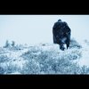 Robert The Bruce: Chystá se "pokračování" Statečného srdce | Fandíme filmu