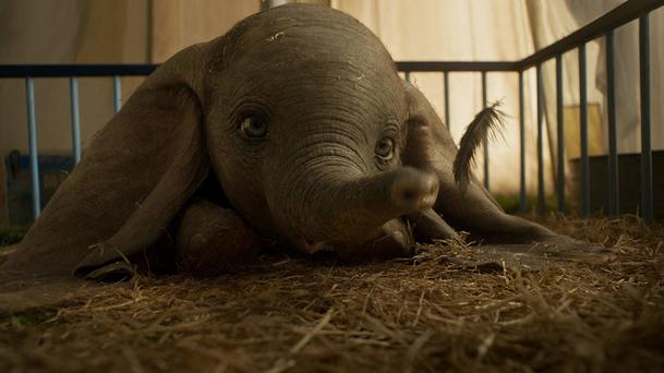 Dumbo: Poslední upoutávka slibuje cirkusové šílenství, jaké jste ještě neviděli | Fandíme filmu