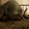 Dumbo: Poslední upoutávka slibuje cirkusové šílenství, jaké jste ještě neviděli | Fandíme filmu