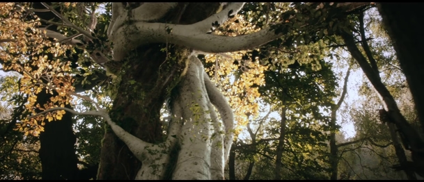 Tolkien: Trailer na biografický film o otci Pána prstenů | Fandíme filmu
