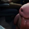 Detective Pikachu: Nový spot se hemží pokémony | Fandíme filmu