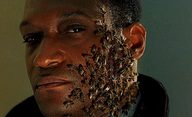 Candyman: Včelí démon našel nového představitele v Aquamanovi | Fandíme filmu
